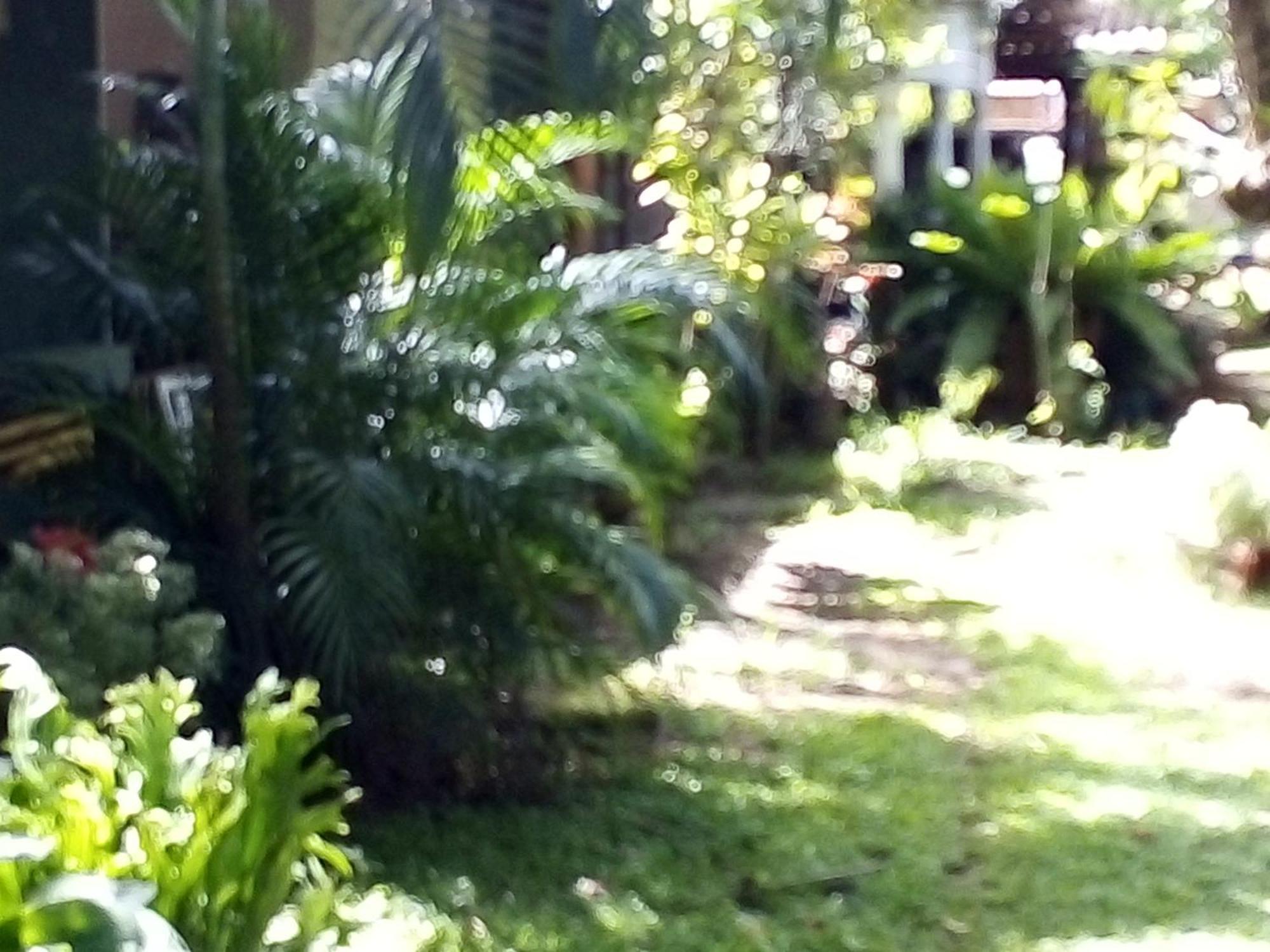 Bandula Home Stay Sigiriya Ngoại thất bức ảnh